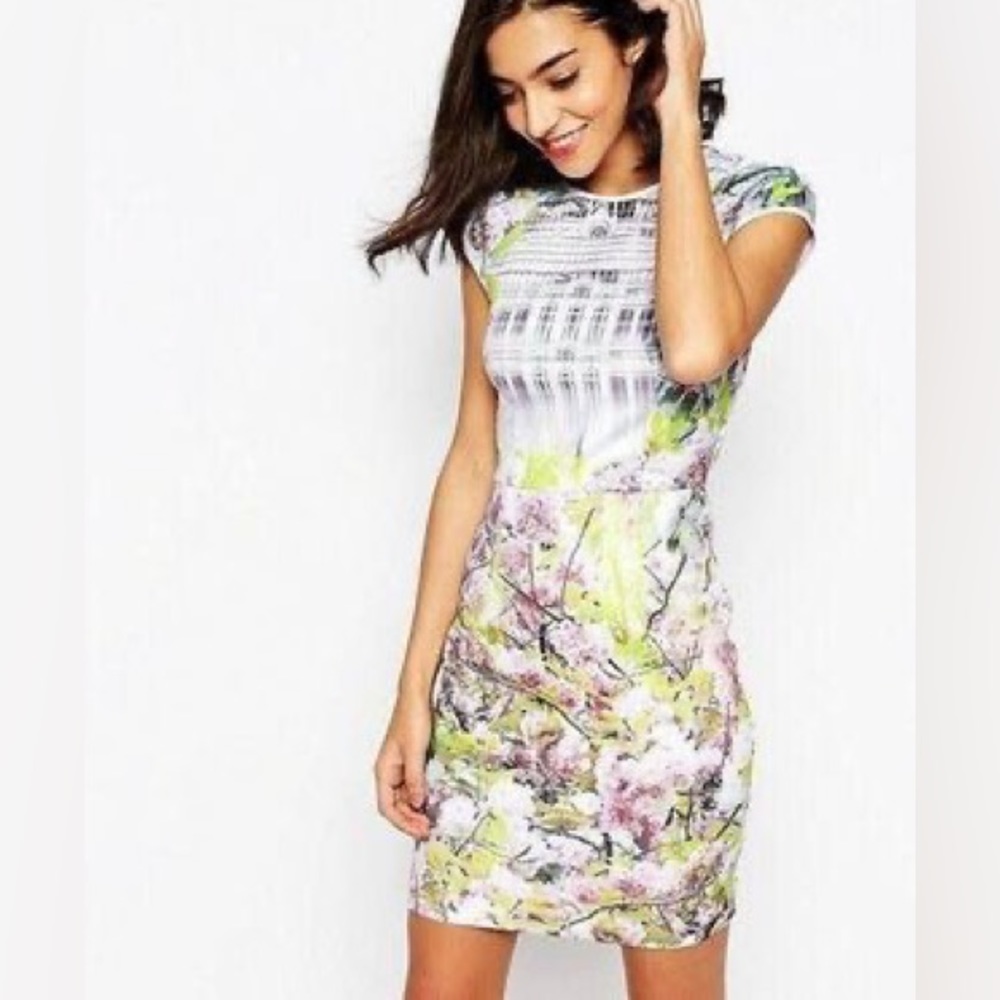 Ted Baker Women Pancha Window Blossom Fitted Mini Dress Size 0